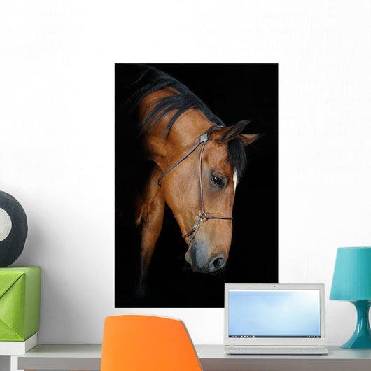Trakehner Stallion Barn