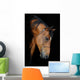Trakehner Stallion Barn