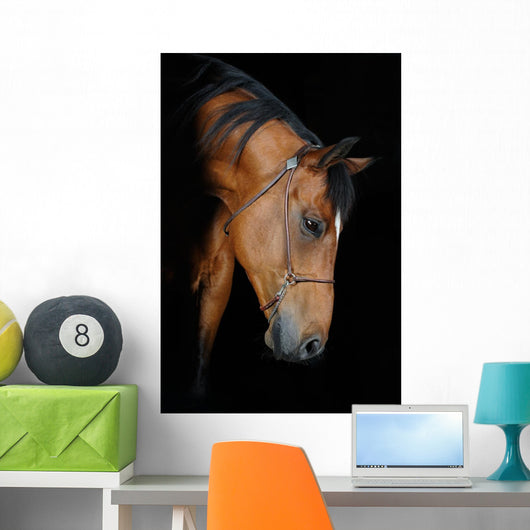 Trakehner Stallion Barn