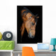Trakehner Stallion Barn
