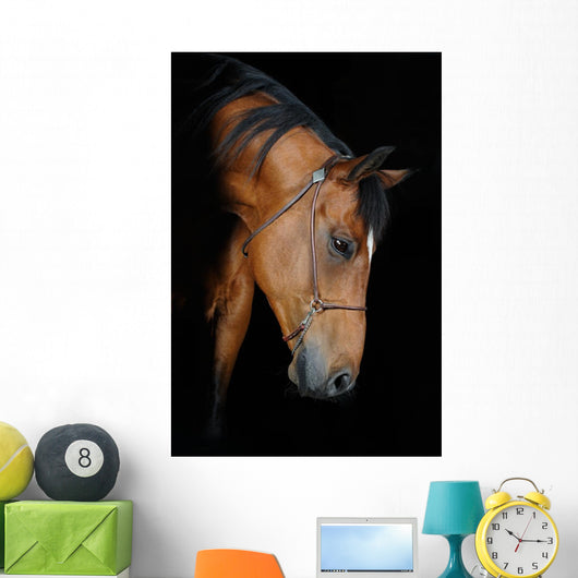 Trakehner Stallion Barn