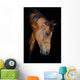 Trakehner Stallion Barn
