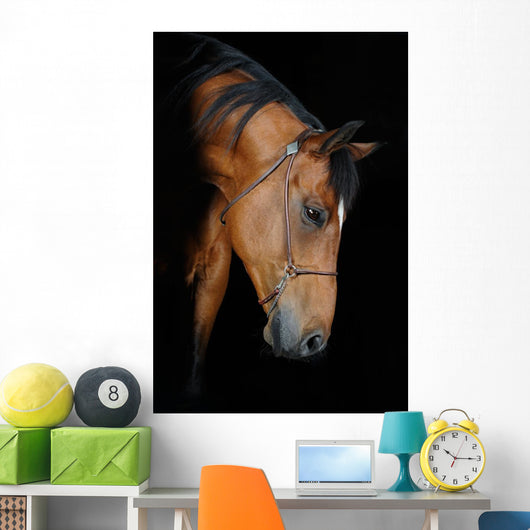 Trakehner Stallion Barn