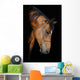 Trakehner Stallion Barn