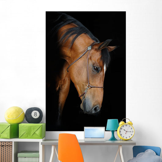 Trakehner Stallion Barn