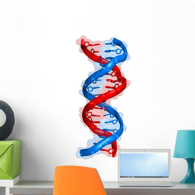 Dna Wall Decal shown on a wall