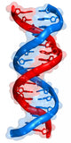 Dna Wall Decal