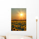 Sunflower Field Wall Mural