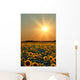 Sunflower Field Wall Mural