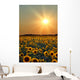 Sunflower Field Wall Mural