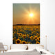 Sunflower Field Wall Mural