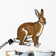 Sitting Brown Hare on White Wall Decal