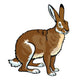 Sitting Brown Hare on White Wall Decal
