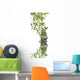 Concept Nature Relaxation Wellness