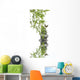 Concept Nature Relaxation Wellness