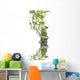 Concept Nature Relaxation Wellness