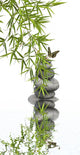 Concept Nature Relaxation Wellness
