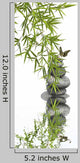 Concept Nature Relaxation Wellness