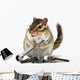 craftsman chipmunk with wrench Wall Decal