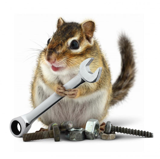 craftsman chipmunk with wrench Wall Decal