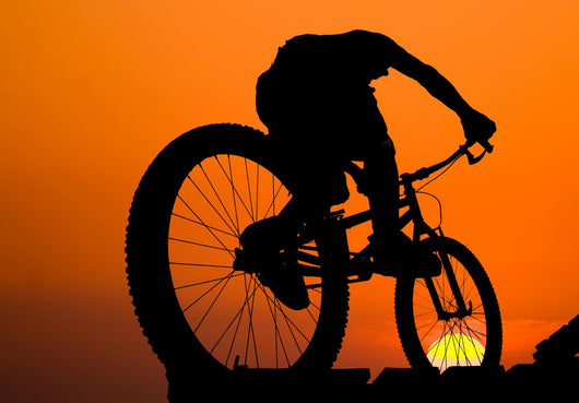 mountainbike silhouette Mountain Biker Silhouette Wall Decal