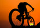 Mountain Biker Silhouette Wall Decal