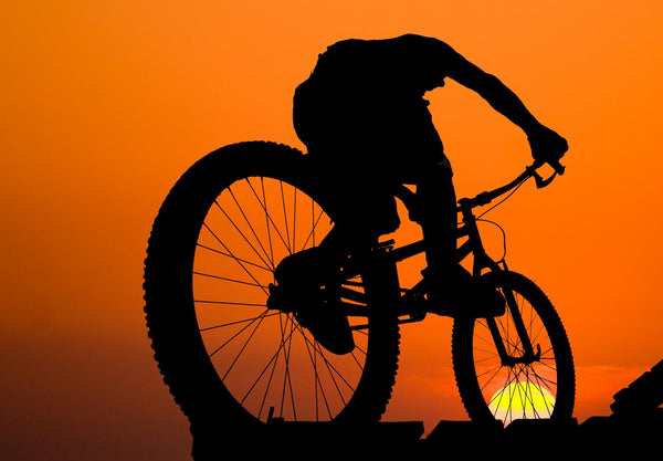 mountainbike silhouette Mountain Biker Wall Decal – Wallmonkeys Variant:Micro - 18