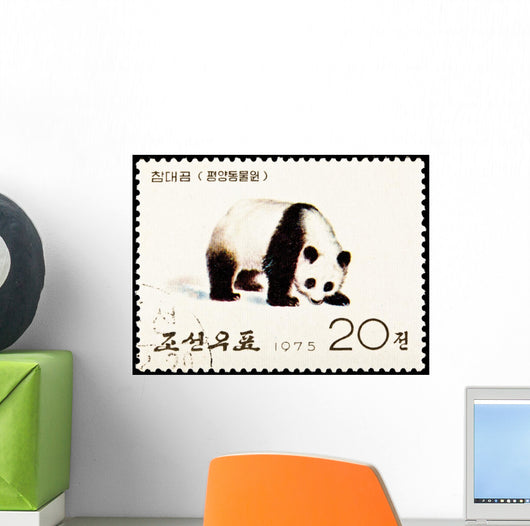 Giant Panda Ailuropoda Melanoleuca