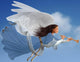 Angel White Wall Mural