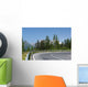 Winding Mountain Road Wall Mural