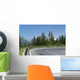 Winding Mountain Road Wall Mural