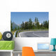 Winding Mountain Road Wall Mural