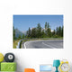 Winding Mountain Road Wall Mural