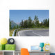 Winding Mountain Road Wall Mural