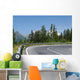 Winding Mountain Road Wall Mural