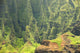 Na Pali Coast Hawaiian