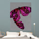 Pink Butterfly Still Life Wall Mural