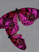Pink Butterfly Still Life Wall Mural