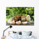 Small Chicks and Egg Wall Mural