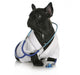 Veterinary Care Wall Decal
