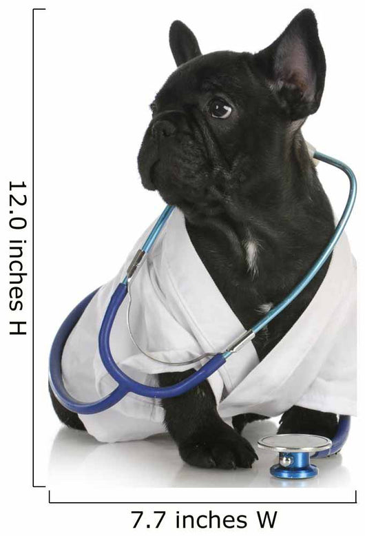 Veterinary Care Wall Decal