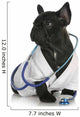 Veterinary Care Wall Decal