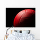 Volley ball Wall Mural