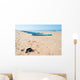 Surfboards Lying Beach Summer Wall Mural