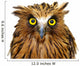 ish Owl Wall Decal