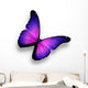 Violet Butterfly White