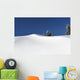 Pristine Mountain Snow
