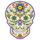 abstract  colorful skull Wall Decal