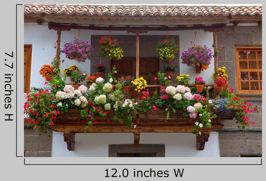 Gran Canaria Teror Flower