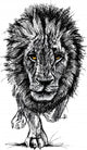 Sketch of a big male African lion Wall Decal